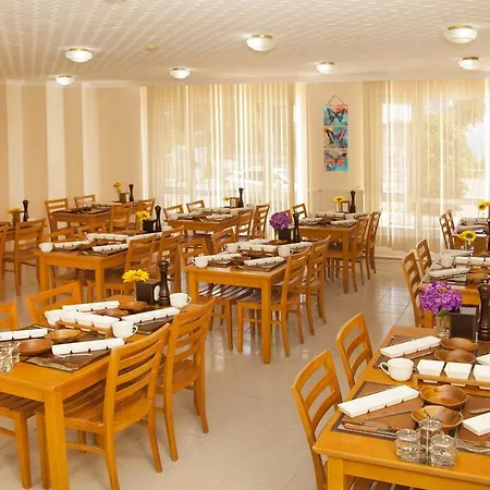 Hotel Ales Park *