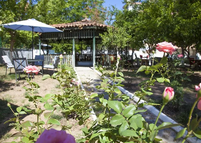 Ales Park *
