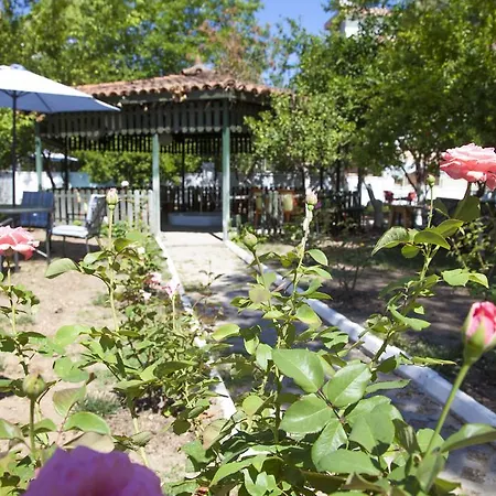 Ales Park *